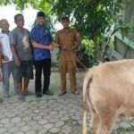 Sambut Idul Fitri, Ketua DPD KOMBAT Deliserdang Serahkan Bantuan Satu Ekor Lembu